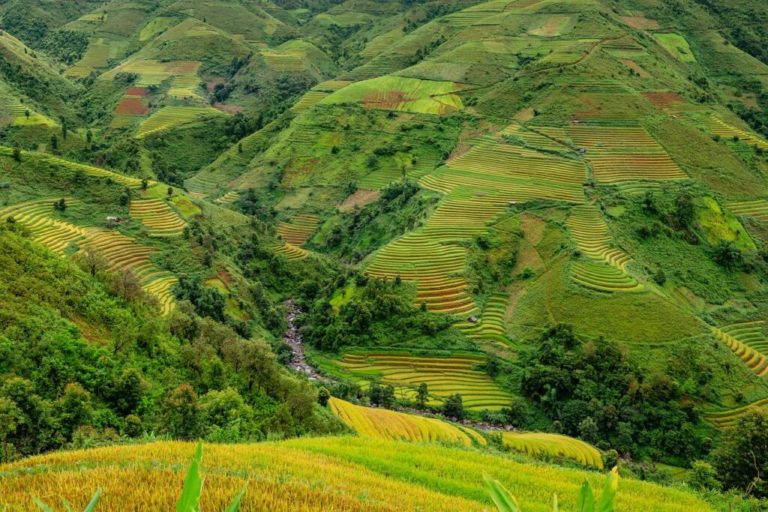 Trekking au nord du Vietnam dans les cultures de riz sur les montagnes Akaoka