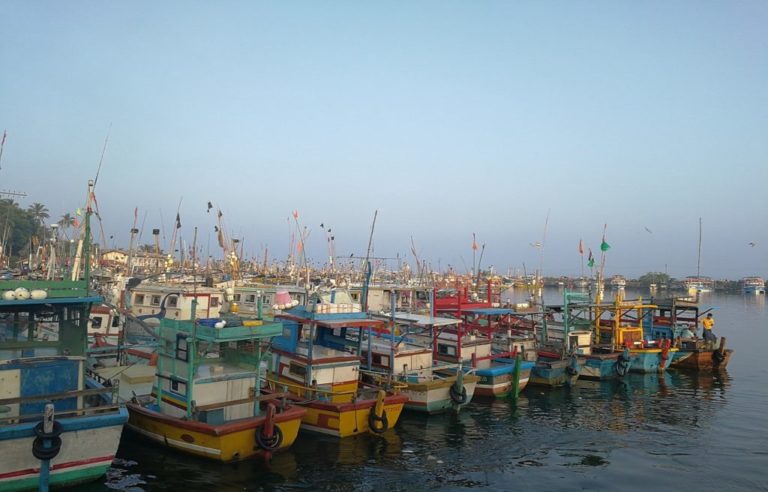 Voyage découverte au Sri Lanka : un port rempli de bateaux colorés stationnés Akaoka