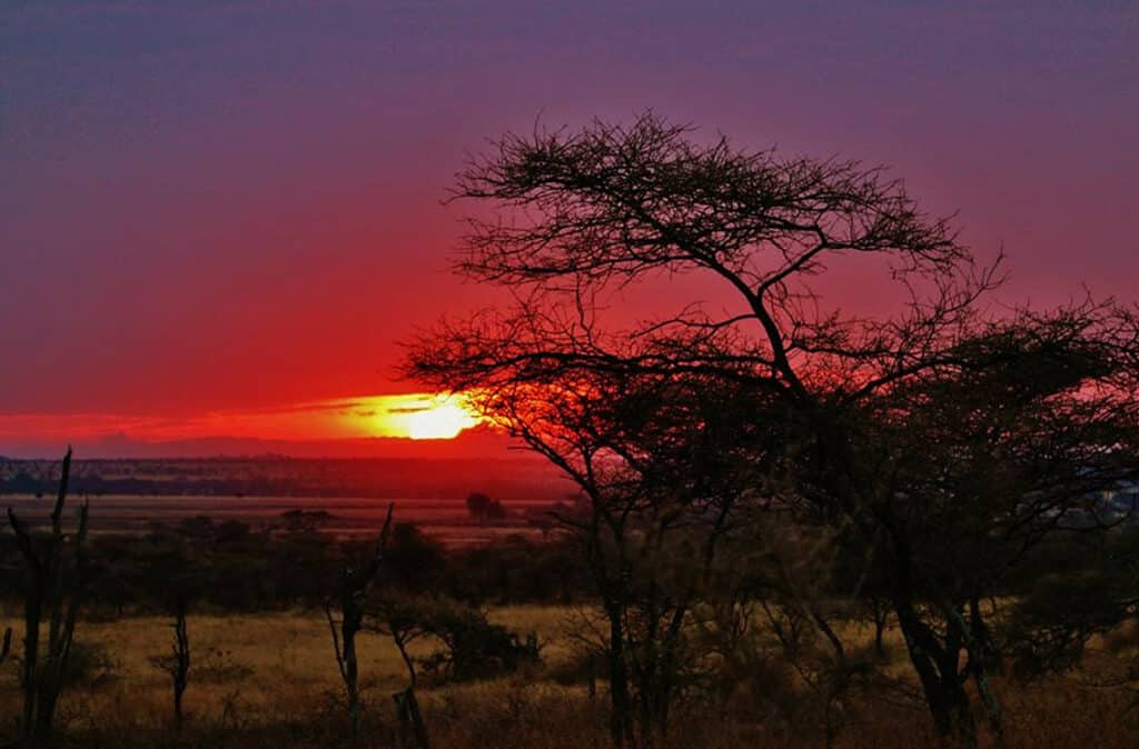 Voyage en Tanzanie : coucher de soleil dans la savane Akaoka