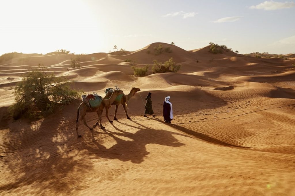 Randonnée Mauritanie en chameau dans le désert Akaoka