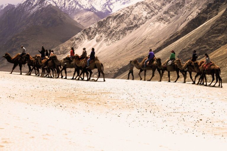 Voyage nord Inde : visite des terres d'aventures de l'Inde à dos de chameau Akaoka