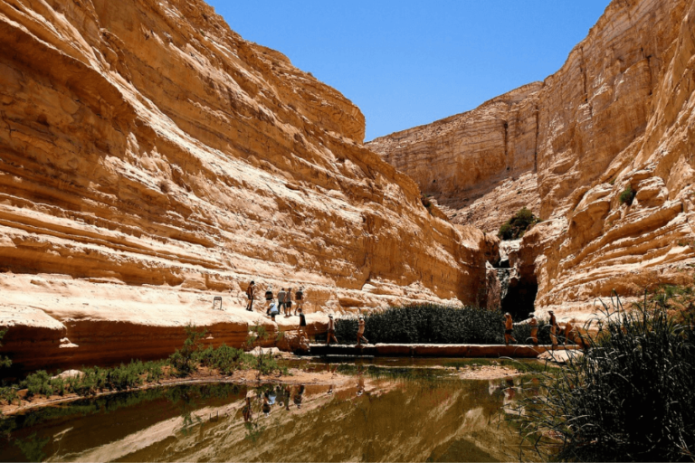 randonnée et Trek dans Désert en Israël