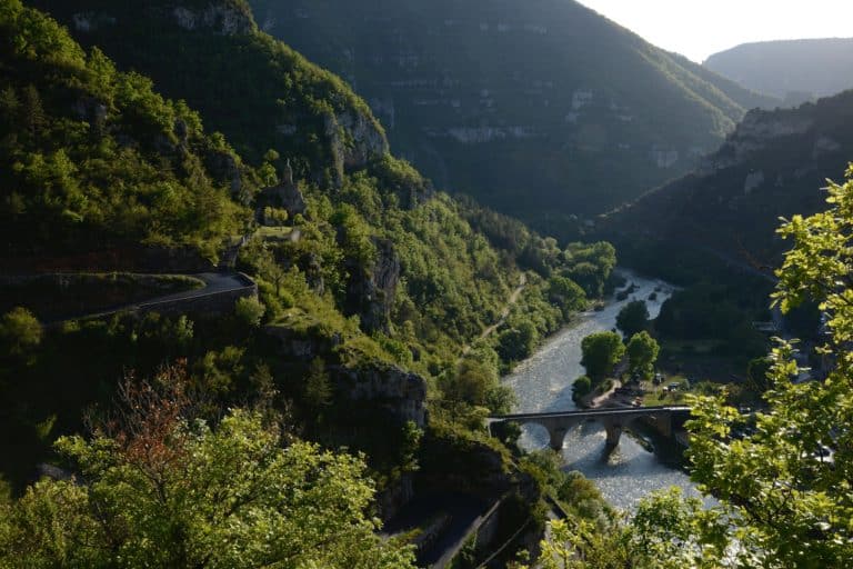 découverte cévennes: Vue sur un beau paysage de végétation