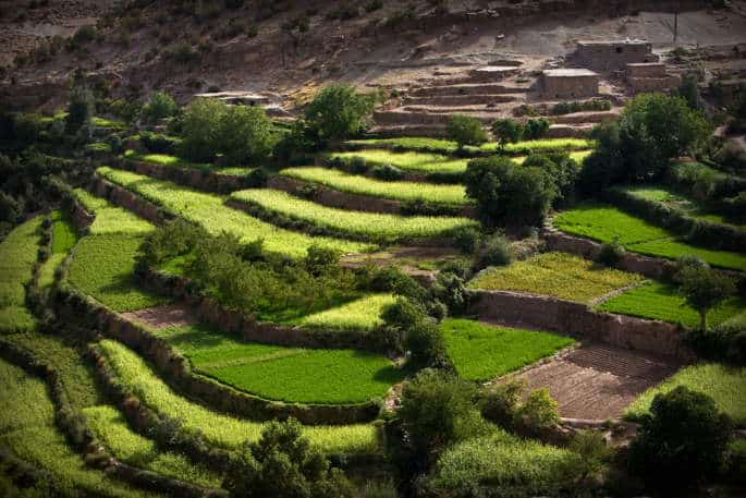 Randonnée au Maroc dans les terrasses agricoles dans les vallées berbères Akaoka