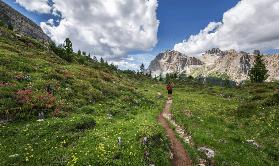 Belle vue d'un parc fleurie et un ensemble d'herbes entourent de montagnes ,Via Ferrata Alpes du sud