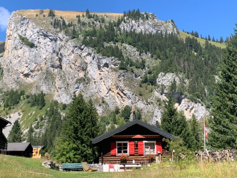 Randonnée en suisse cabane sous le pied d'une colline et entouré d'arbres